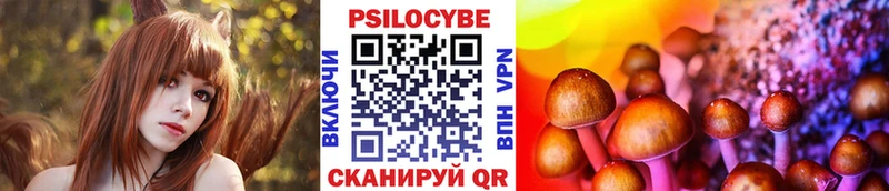 Купить закладки  Черноголовка  Псилоцибиновые грибы мицелий 