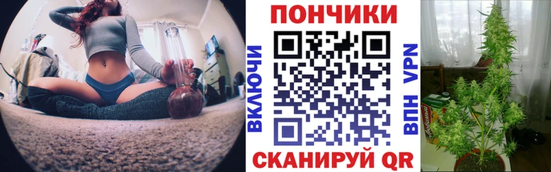 Купить закладки  Черноголовка  Марихуана THC 21% 